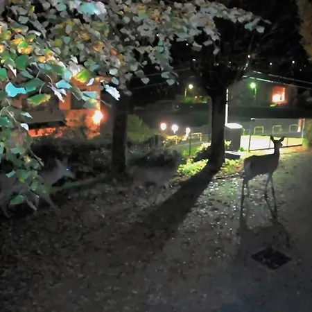 Casa Del Cerbiatto, A 5 Chilometri Da Argegno *