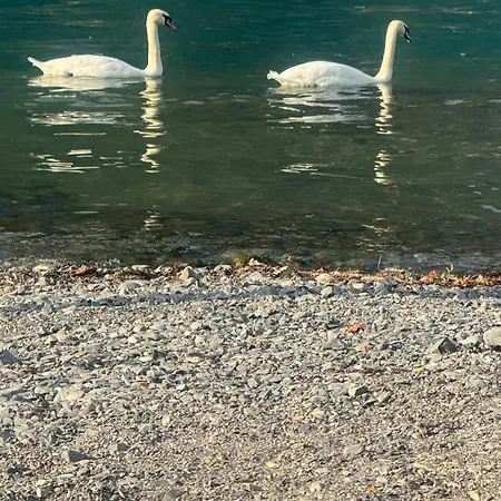 Casa Del Cerbiatto, A 5 Chilometri Da Argegno شقة كاستيليونِ دينْتيلْفْ