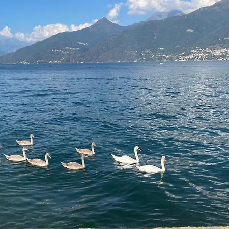 Casa Del Cerbiatto, A 5 Chilometri Da Argegno *