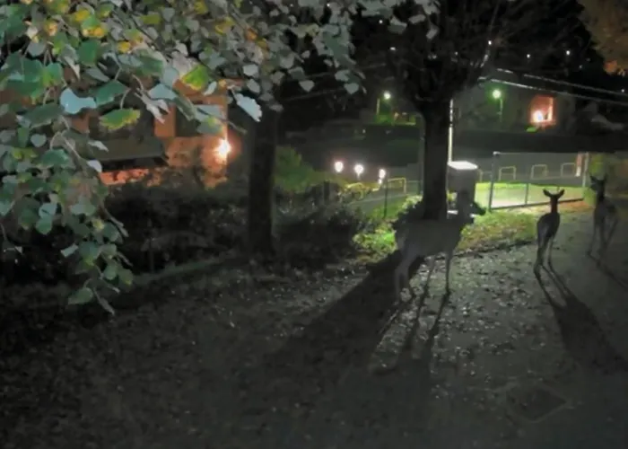 Casa Del Cerbiatto, A 5 Chilometri Da Argegno Lejlighed