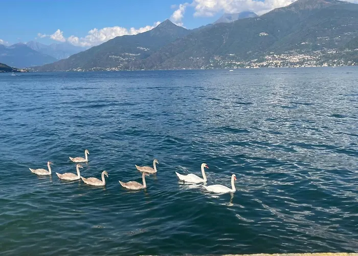 Casa Del Cerbiatto, A 5 Chilometri Da Argegno *